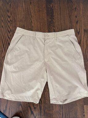 Horizon - Men's Classic Casual Shorts - Light Beige